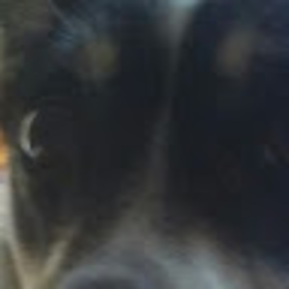 jill_cru